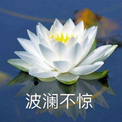 60多岁老人微信头像大全花(共20张)