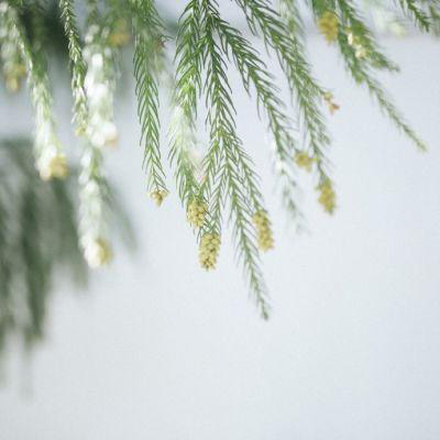 60多岁老人微信头像风景(精选26张)