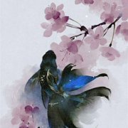 最好看的微信花朵头像好运(优选16张)