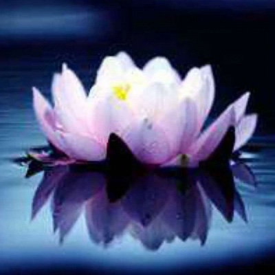 70后妈妈微信头像风景清晰(精选20张)