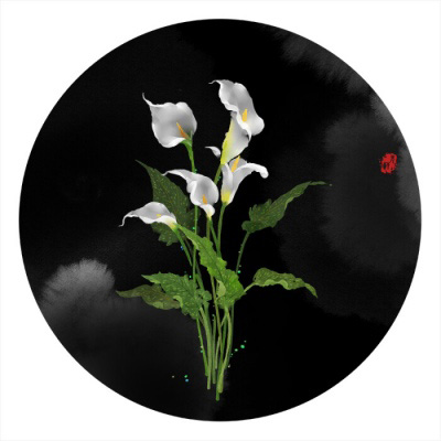 70后妈妈微信头像图片大全(22张)