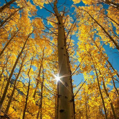 母亲专用头像图片(精选24张)