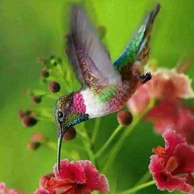 母亲专用头像图片(精选24张)