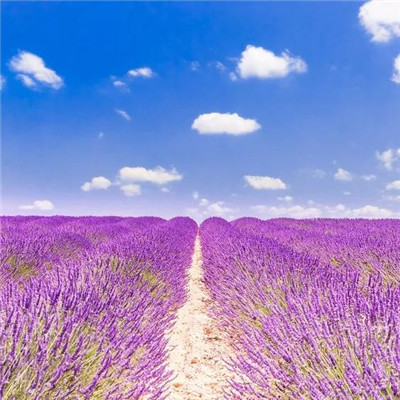 一辈子财气又顺利微信头像(22张)