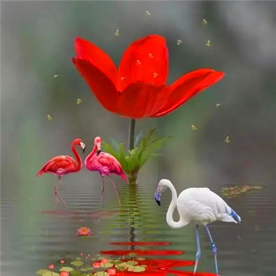 2023微信最吉利的好看头像(20张)