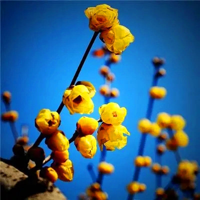 2023微信最吉利的好看头像(20张)