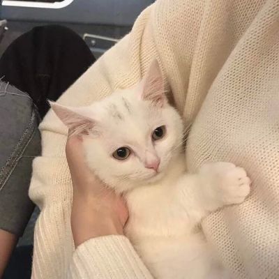 永远不撞的情侣头像一左一右(优选20张)