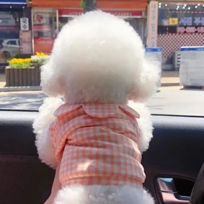 独一无二的情侣头像一对(共20张)