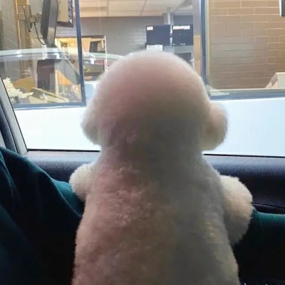 独一无二的情侣头像一对(共20张)