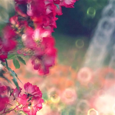 45岁女人用的微信头像高清(共18张)