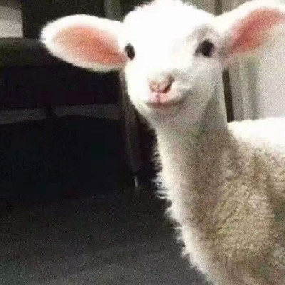 精致高雅的四十岁女人头像(优选38张)