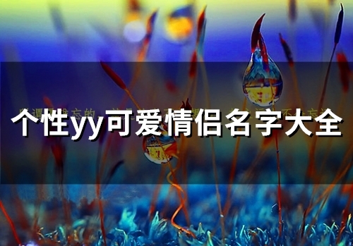 个性yy可爱情侣名字大全(89个)