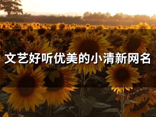 文艺好听优美的小清新网名(116个)