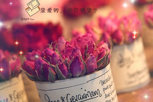 两个字的悲伤网名(精选94个)