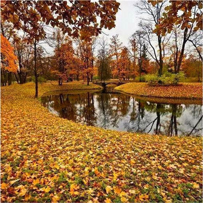 最招财聚财的山水微信头像(精选22张)