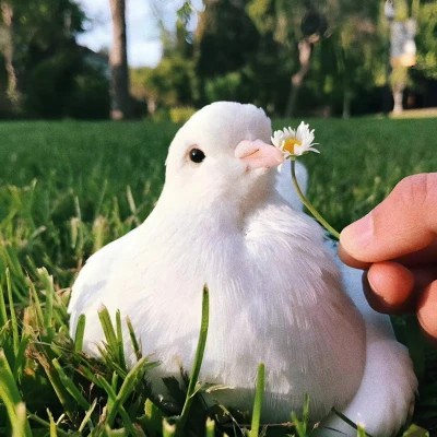 网上最火的图片头像(22张)