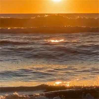 有品位的微信头像淡雅(共30张)