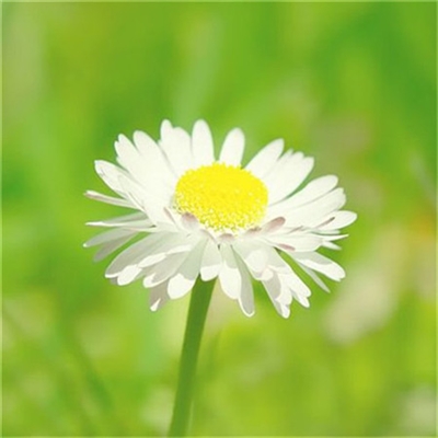 简单干净好看微信头像温馨的微信头像(优选22张)