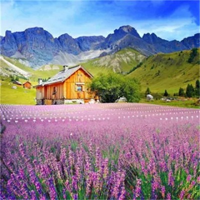 2023微信最吉利的好看头像图片大全(精选22张)