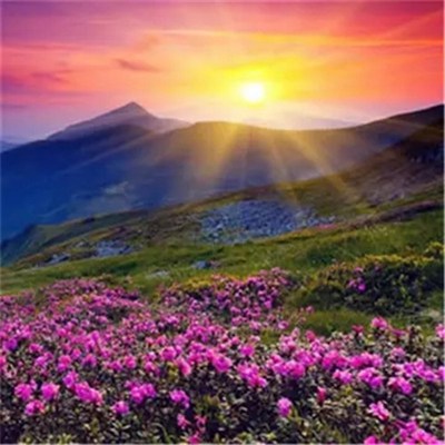 2023微信最吉利的好看头像图片大全(精选22张)