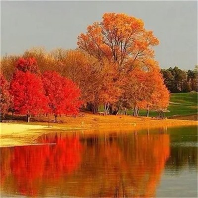 2023年微信头像最吉利好运图片(精选24张)