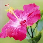 阳光干净的微信头像高清(优选22张)