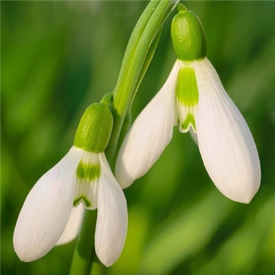 阳光干净的微信头像高清(优选22张)