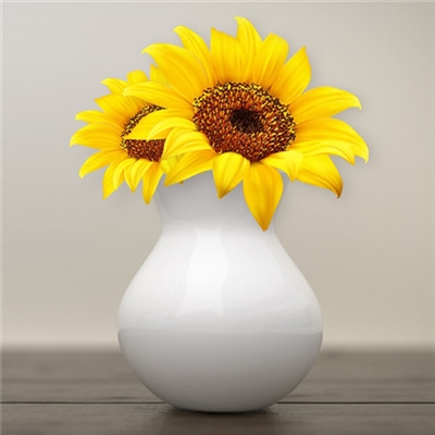 阳光干净的微信头像高清(优选22张)