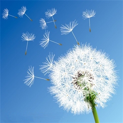 阳光干净的微信头像高清(优选22张)