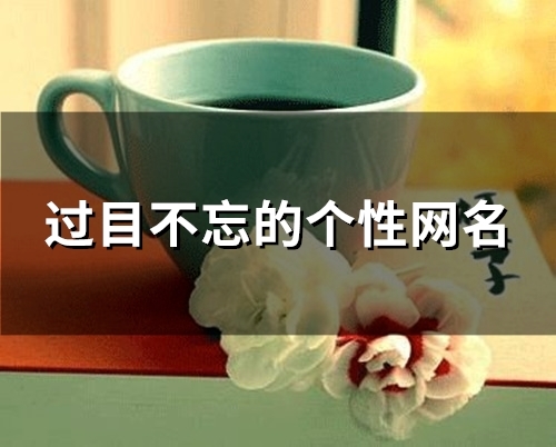 过目不忘的个性网名(精选91个) 过目不忘的个性网名(精选91个)