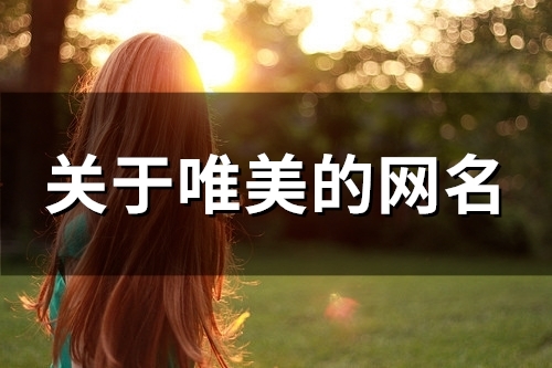 关于唯美的网名(共91个) 关于唯美的网名(共91个)