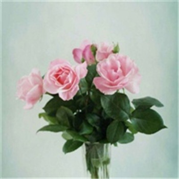 23年能带来好运的微信头像(共24张)