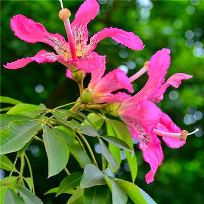 2023能带来好运的微信头像图片(共24张)