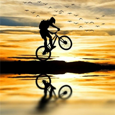 阳光正能量的微信头像(精选22张)