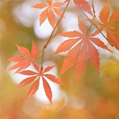 阳光正能量的微信头像(精选22张)