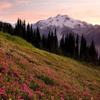 微信头像励志风景头像(精选24张)