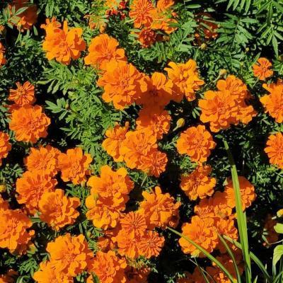 微信头像励志风景头像(精选24张)