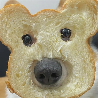 令人开心超逗的头像合集图片(优选24张)