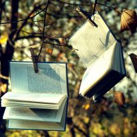 微信头像书本唯美清新图片大全(24张)