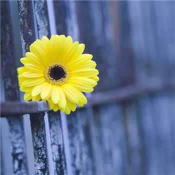 好运连连微信头像图片(共24张)