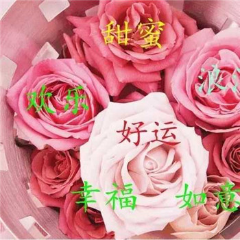 好运连连微信头像图片(共24张)