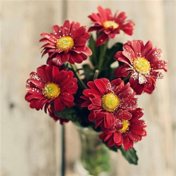 好运连连微信头像图片(共24张)