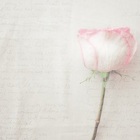 静物头像简约清新图片(24张)