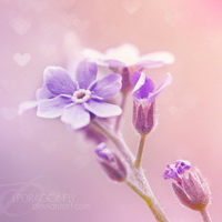 静物头像简约清新图片(24张)