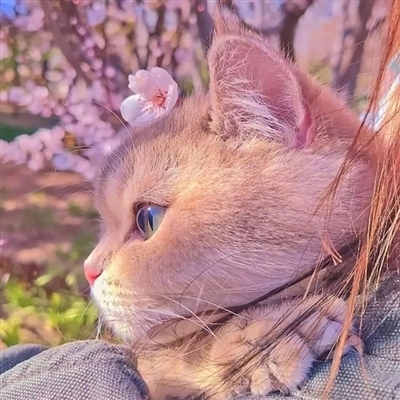 情人节怼情侣的头像(优选24张)