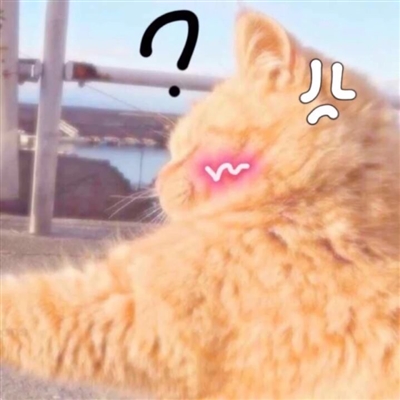 情人节怼情侣的头像(优选24张)