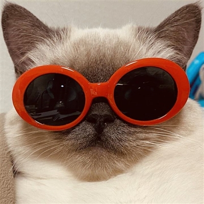 情人节怼情侣的头像(优选24张)