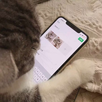 简约大气的微信头像女干净(20张)