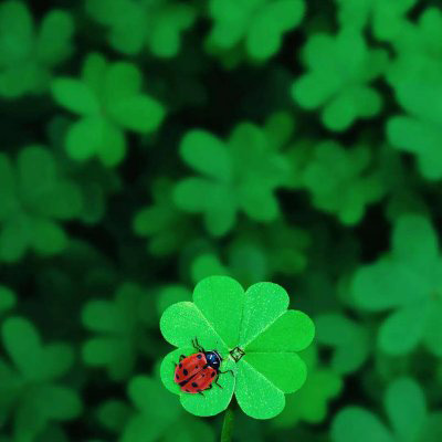 好看又耐看的头像图片(24张)