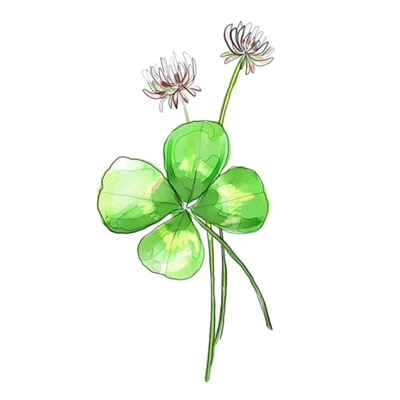 好看又耐看的头像图片(24张)